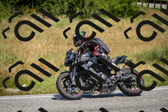 202506281145-DSC_1546_c2