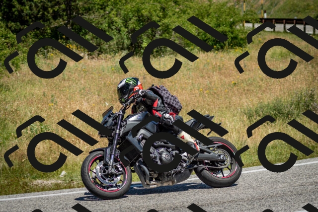 202506281147-DSC_1566_c2