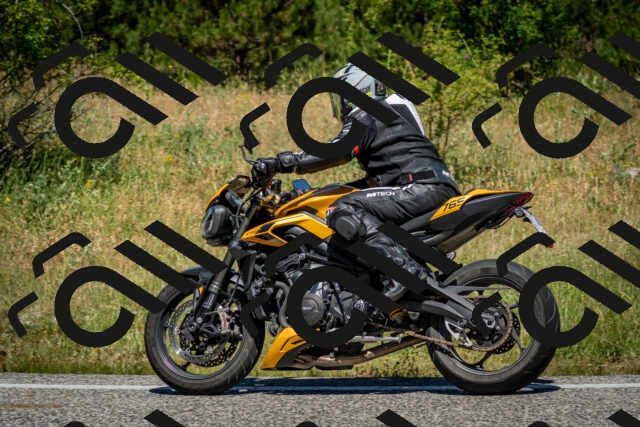 202506281149-DSC_1585_c2