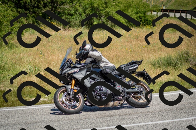 202506281150-DSC_1593_c2