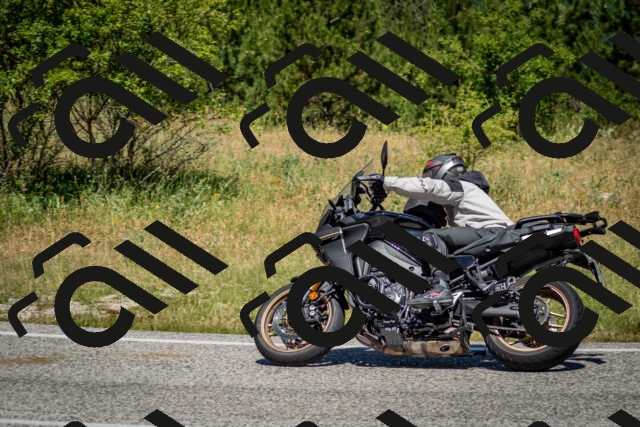 202506281150-DSC_1594_c2