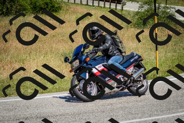 202506281152-DSC_1613_c2