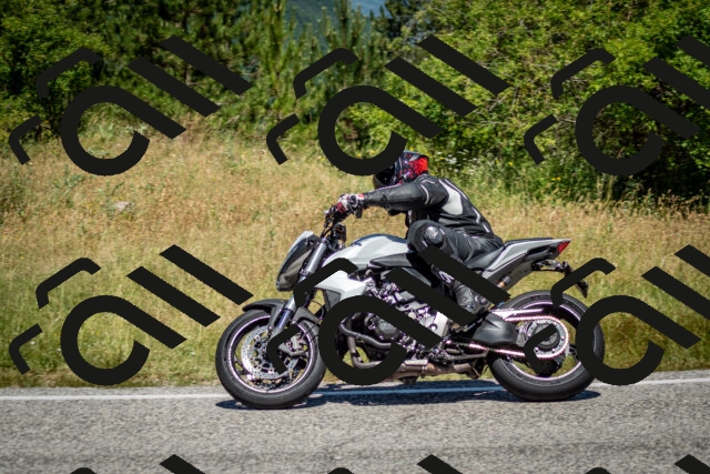 202506281155-DSC_1659_c2