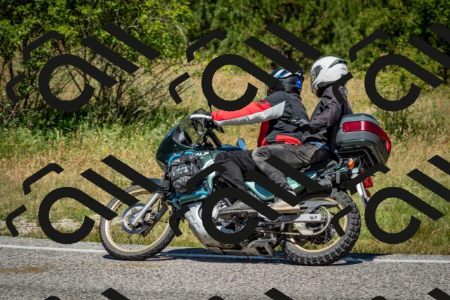 202506281156-DSC_1666_c2