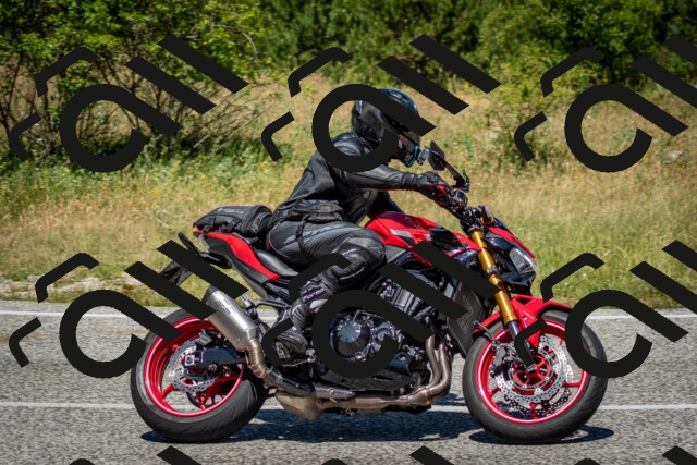 202506281202-DSC_1731_c2