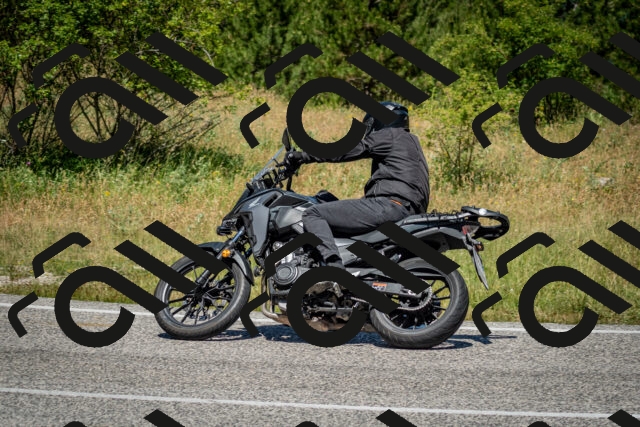 202506281206-DSC_1743_c2