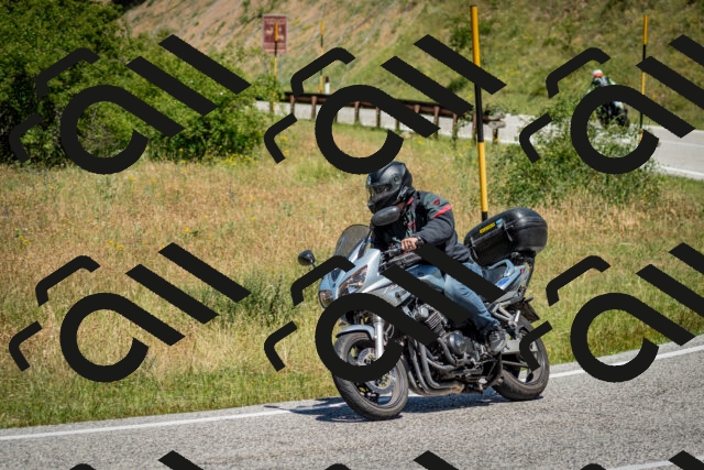 202506281206-DSC_1746_c2