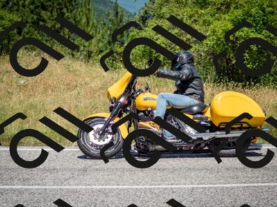 202506281206-DSC_1749_c2