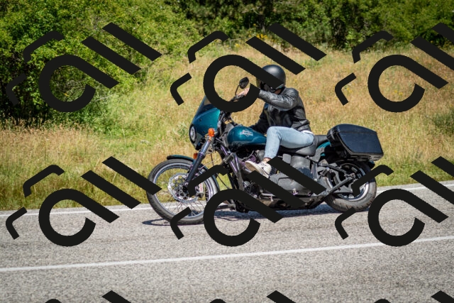 202506281206-DSC_1750_c2