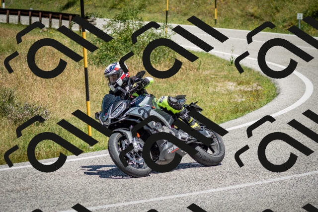 202506281206-DSC_1753_c2