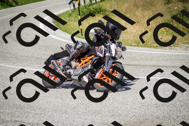 202506281213-DSC_1779_c2