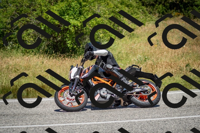 202506281215-DSC_1789_c2