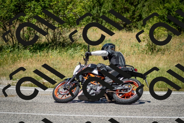 202506281215-DSC_1790_c2