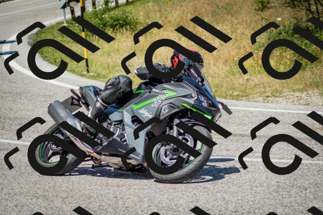 202506281215-DSC_1806_c2