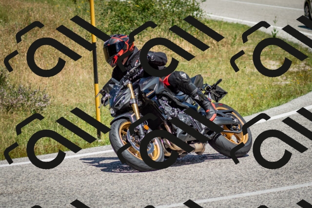 202506281216-DSC_1813_c2