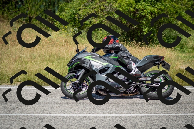 202506281217-DSC_1818_c2