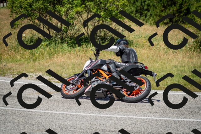 202506281217-DSC_1824_c2