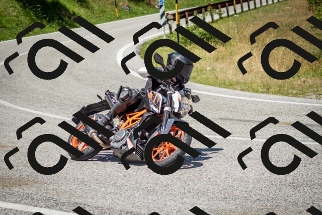 202506281218-DSC_1833_c2