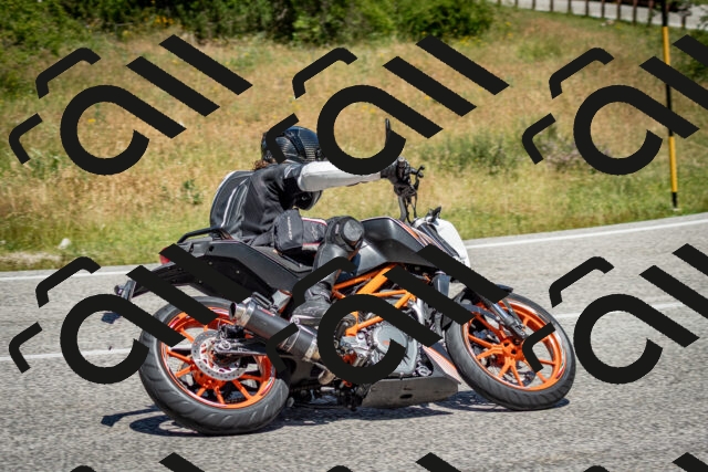 202506281218-DSC_1834_c2