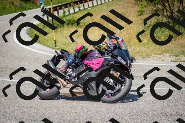 202506281218-DSC_1840_c2