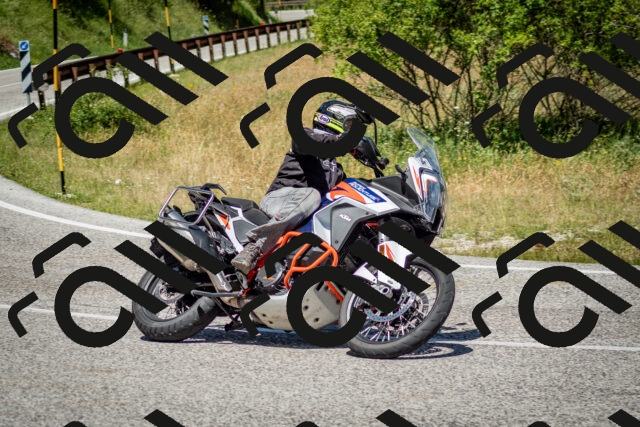 202506281221-DSC_1872_c2