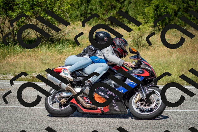 202506281221-DSC_1875_c2