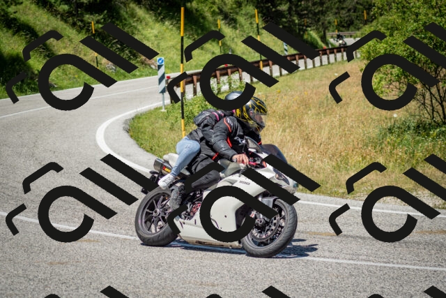 202506281221-DSC_1877_c2