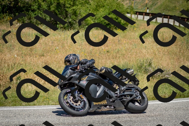 202506281221-DSC_1882_c2