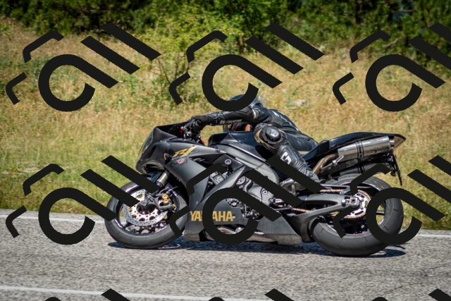 202506281221-DSC_1883_c2