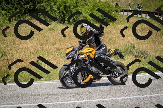 202506281221-DSC_1885_c2