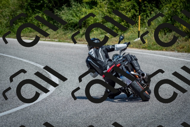 202506281223-DSC_1896_c2