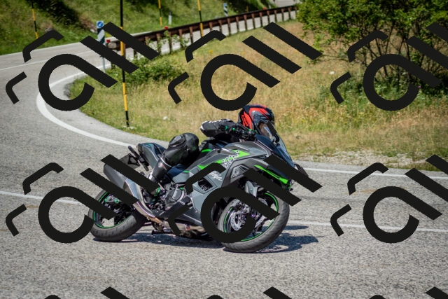 202506281223-DSC_1899_c2