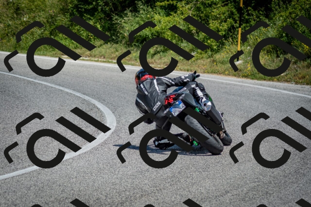 202506281223-DSC_1900_c2