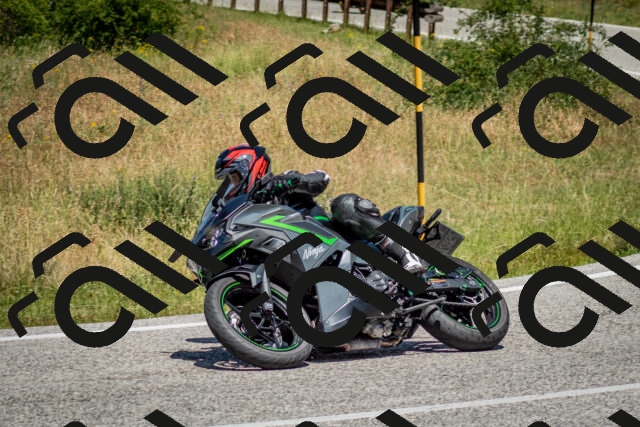 202506281224-DSC_1907_c2