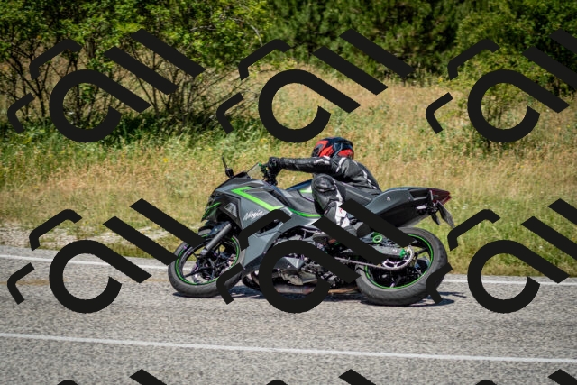 202506281224-DSC_1908_c2