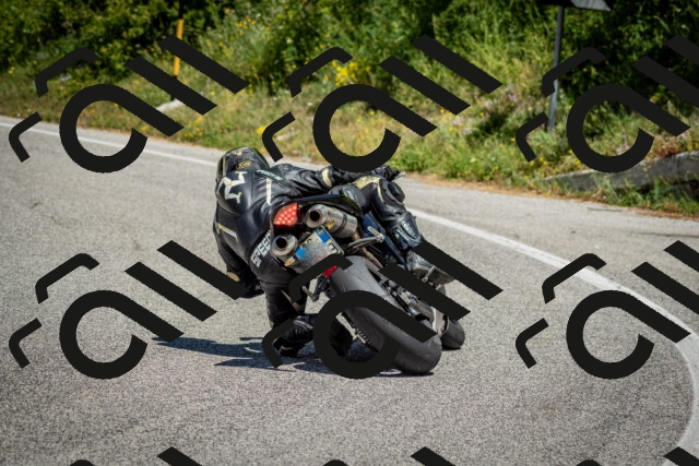 202506281224-DSC_1916_c2