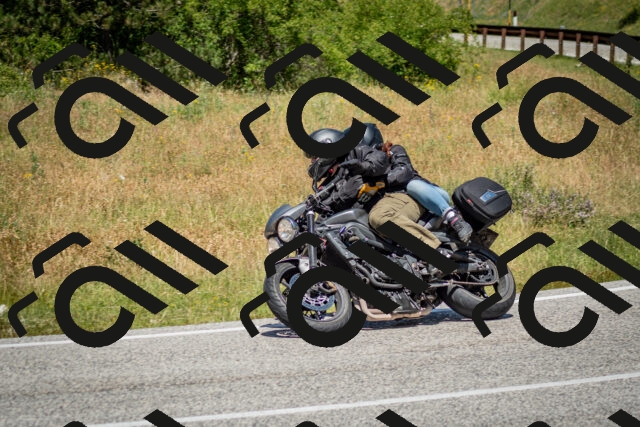 202506281234-DSC_1944_c2