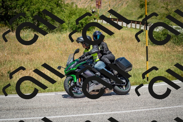 202506281234-DSC_1953_c2