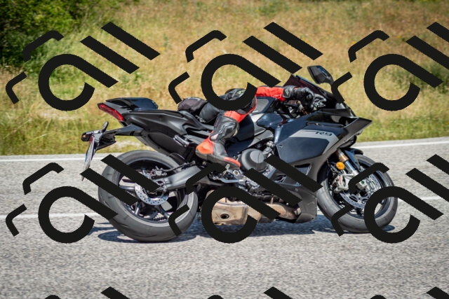 202506281235-DSC_1967_c2