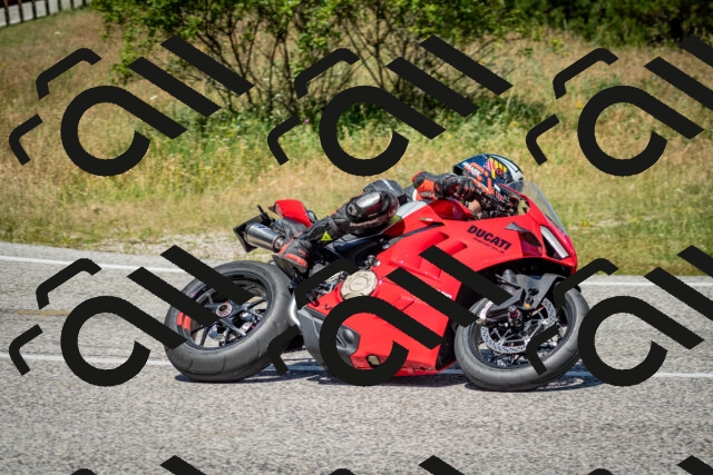 202506281235-DSC_1970_c2