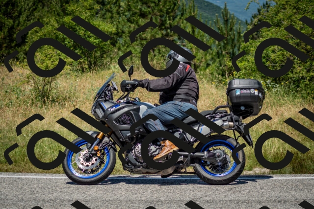 202506281236-DSC_1984_c2