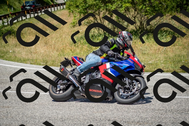 202506281237-DSC_1986_c2