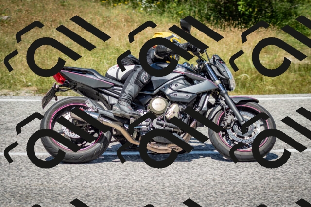 202506281243-DSC_2009_c2