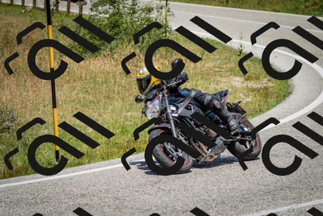 202506281244-DSC_2023_c2