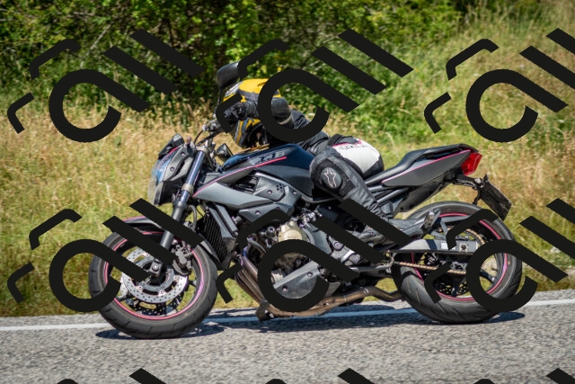 202506281244-DSC_2024_c2