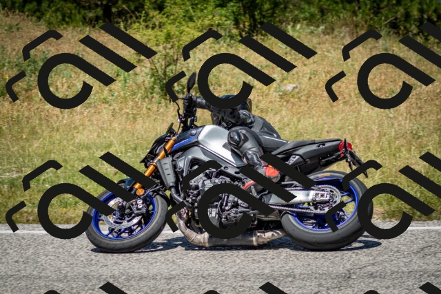 202506281244-DSC_2031_c2