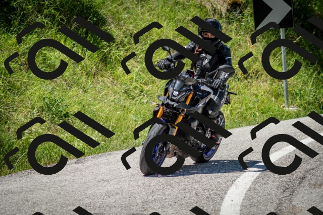 202506281245-DSC_2040_c2