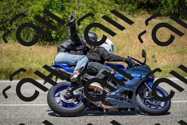 202506281248-DSC_2067_c2