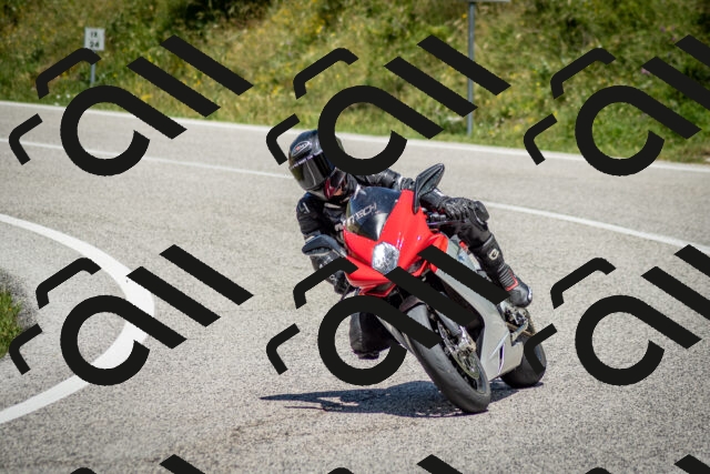 202506281251-DSC_2077_c2