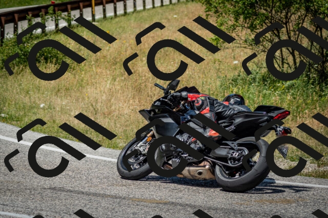 202506281253-DSC_2089_c2